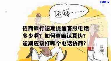 招商逾期用什么  打，怎样解决招商逾期疑问？联系  全在这！