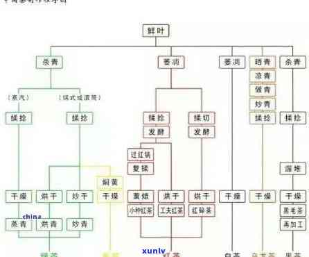 茶叶分拣有几道工序？详解茶叶分拣流程、设备和技术