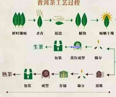 茶叶加工原则是什么呢，揭示茶叶加工的奥秘：基本原则是什么？