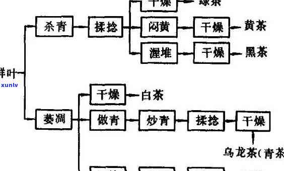 全面解析茶叶加工技术要点：从工艺流程到技术条件