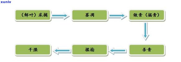 全面解析茶叶加工技术要点：从工艺流程到技术条件