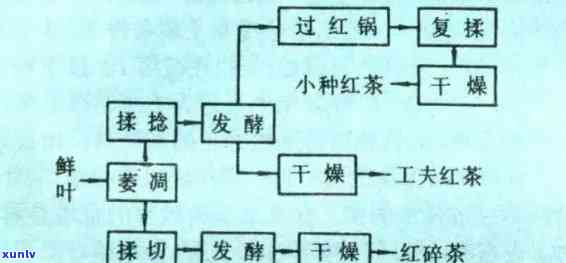 全面解析茶叶加工技术要点：从工艺流程到技术条件