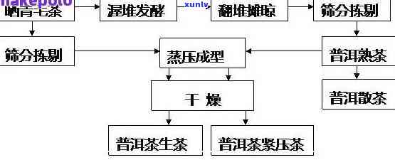 茶叶加工过程及其工艺：详细解析与流程图