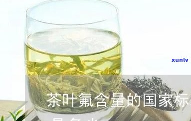 哪种茶叶含氟量更高？全面解析茶叶氟含量