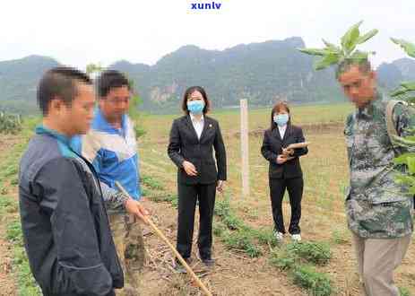 招商银行逾期被动结案怎么办，怎样解决招商银行逾期被动结案的情况？