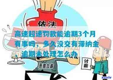 交通罚款逾期滞纳金可以减免吗？逾期结果、金额及超过90天解决  全解析