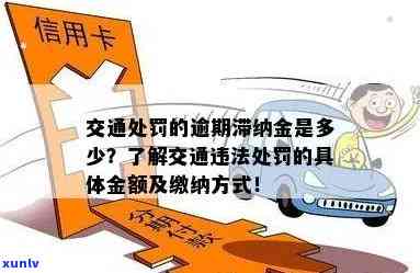 交通罚款逾期滞纳金可以减免吗？逾期结果、金额及超过90天解决  全解析