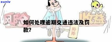 交通罚款逾期3个月怎么办，怎样解决交通罚款逾期3个月的情况？