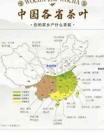 世界各地的茶叶特点：种类、风味、产地与文化全解析