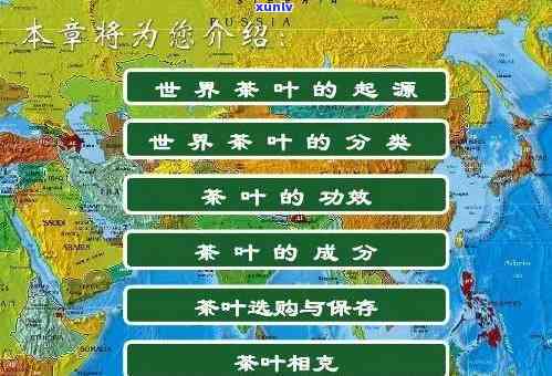 世界各地的茶叶特点：种类、风味、产地与文化全解析