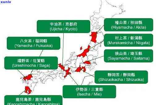 世界各地的茶叶特点：种类、风味、产地与文化全解析