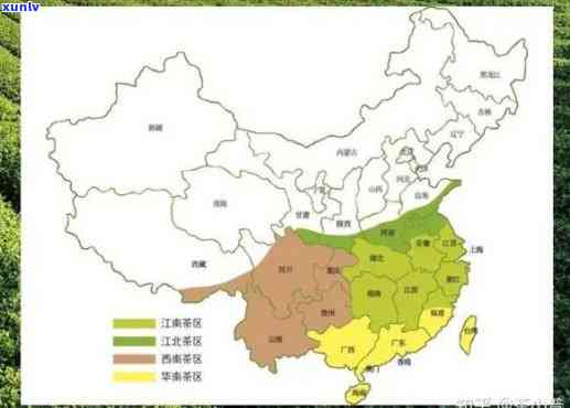 中国茶叶产地主要分布在哪些省区，揭秘中国茶叶的主要产地：那些省份是茶叶王国？