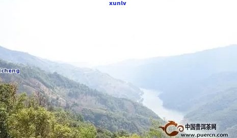 勐库东半山，探秘云南勐库东半山：茶叶的故乡与自然的宝库