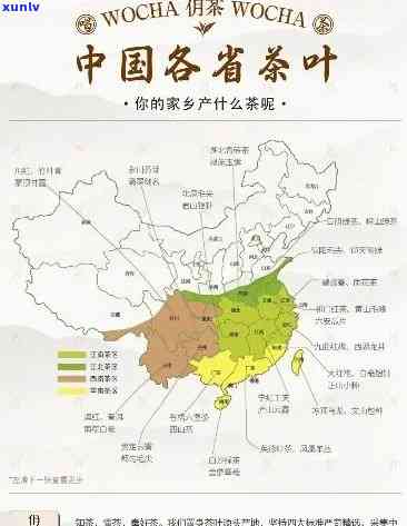 泸州本地茶叶：种类、场、特产与知名一览