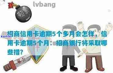 招商银行怎么查逾期-招商银行怎么查逾期记录