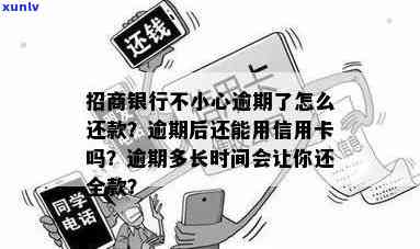 招商不小心逾期2天怎么办，招商银行信用卡逾期2天怎么办？解决方案大揭秘！