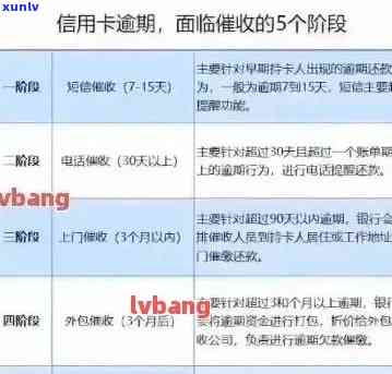 建设银行逾期还款费用：计算  、作用及还款指南