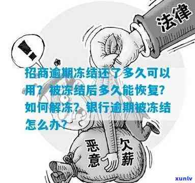 招商逾期冻结后多久能恢复，招商逾期冻结：恢复时间解析