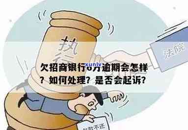 招商银行逾期被公诉-招商银行逾期被公诉怎么办