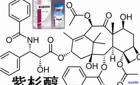 长命锁介绍：含义、构造与作用解析