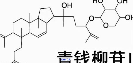 晚上喝青钱柳茶血糖会升高吗，晚上的你是否适合饮用青钱柳茶？了解其对血糖的影响