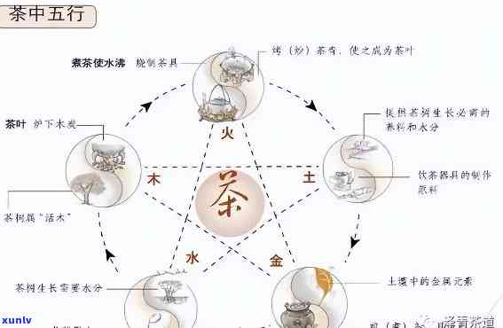 茶叶在五行中属木行业，其属性为清凉、生发。