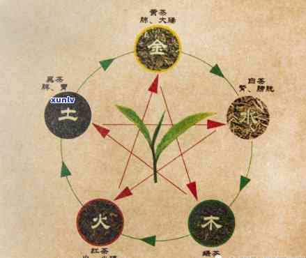 茶叶属于五行的哪个，探讨茶叶与五行的关系：它属于哪一行？