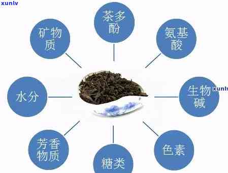 茶叶营养价值跟叶片的关系，探究茶叶的营养价值：叶片对其有何影响？