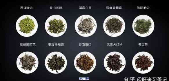 送人茶叶一般送多少价位，茶叶赠送指南：适合的价位和送礼技巧