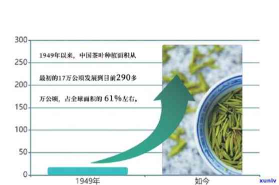 100克茶叶有多少参照图，怎样确定100克茶叶的参考量？看这个图表就知道了！