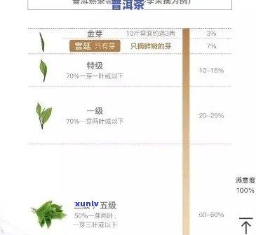 茶叶保度是多少度，茶叶保度：你需要知道的数字