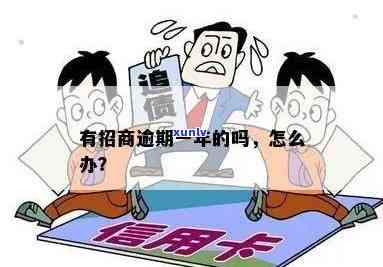 招商逾期1万怎么办-招商逾期1万怎么办啊