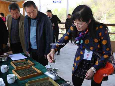 半天腰茶叶多少钱一斤，查询半天腰茶叶市场价格，每斤多少钱？