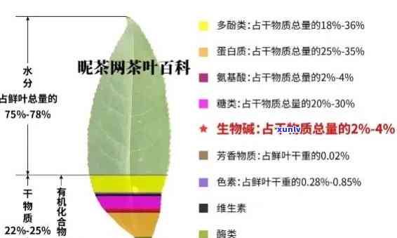 3克茶叶大约是多少片？影响因素解析