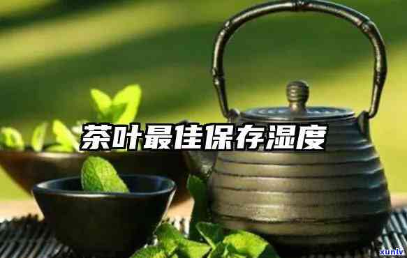 茶叶存相对湿度，茶叶的完美存环境：相对湿度的重要性