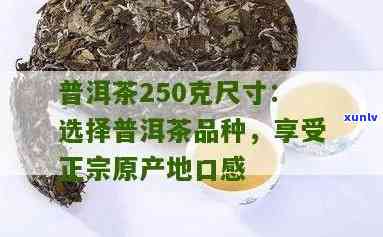 250克茶叶是多少斤？详细解析与换算 *** 