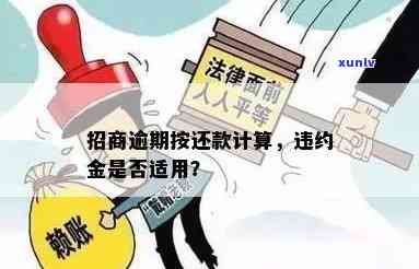 招商违约金能申请退还的时间及金额规定是什么？