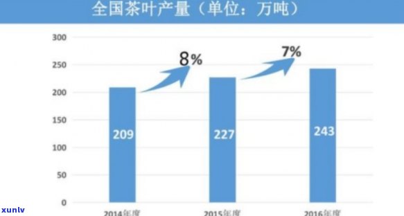 茶叶年产量多少吨？正常围、产值解析