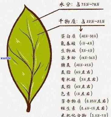 茶叶水分含量是多少克，茶叶水分含量的测定与标准要求