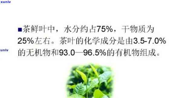 茶叶的含水量多少能长保质期，影响茶叶保质期的关键因素：含水量多少？