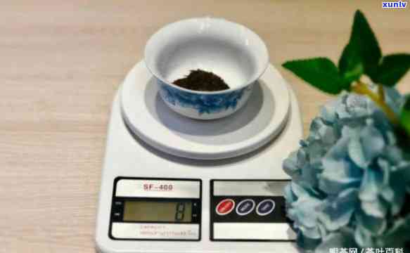 10g茶叶大概多少粒？请看详细解答