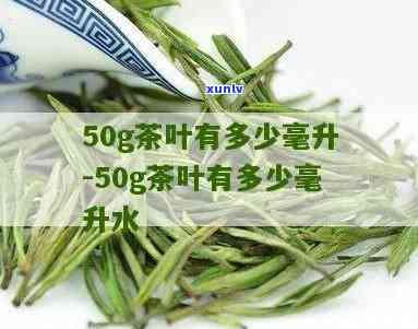 5g茶叶大概是多少-3-5g茶叶大概是多少