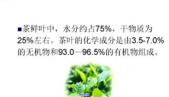 茶叶的钾含量表：比较各类茶叶的钾含量及详细数据