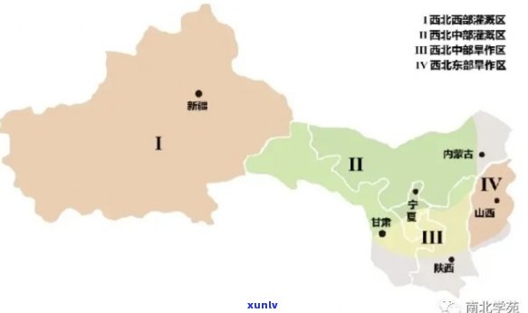 西北地区是否产茶？探究其原因与现状