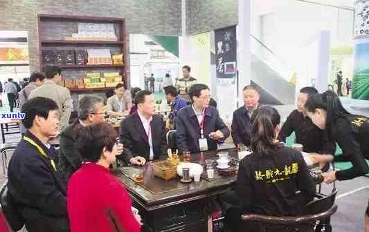 西北茶叶场茶叶怎么样，探秘西北茶叶场：茶叶质量如何？