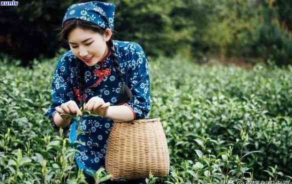 女孩卖茶叶有什么不好的意思？探讨其赚钱能力和被追求的可能性