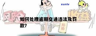 交通处罚逾期未解决会有何结果？逾期未缴交通罚款怎么办？罚款逾期作用怎样？交通违规逾期解决有何作用？交通罚款逾期是不是会作用？交通处罚未交会有何作用？