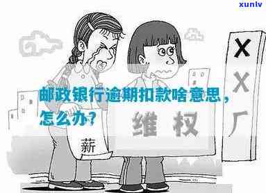 招商逾期了怎么办？信用卡逾期作用、解决  与恢复步骤全解析