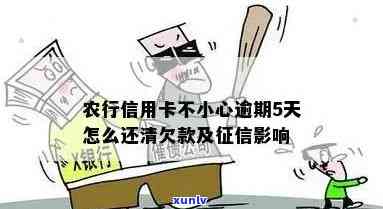 农行蓄卡逾期一天怎么办，农行蓄卡逾期一天解决  