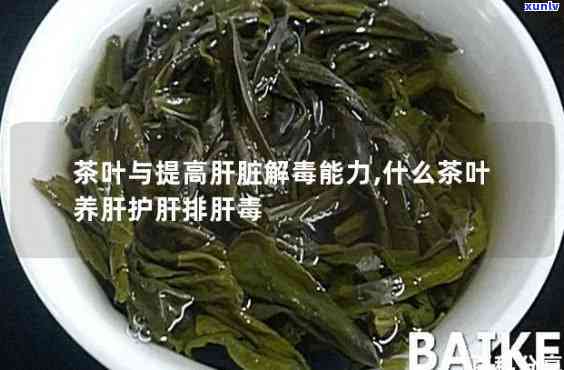 茶叶对肝脏有伤害吗-茶叶对肝脏有伤害吗能喝吗